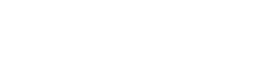 Font 17 Magneto